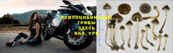 дживик Алексин