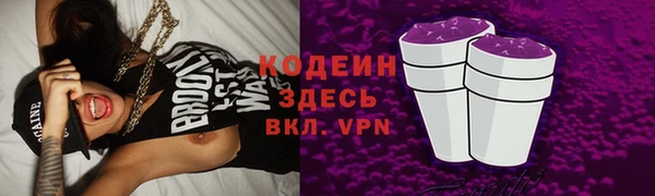 твердый Дмитровск