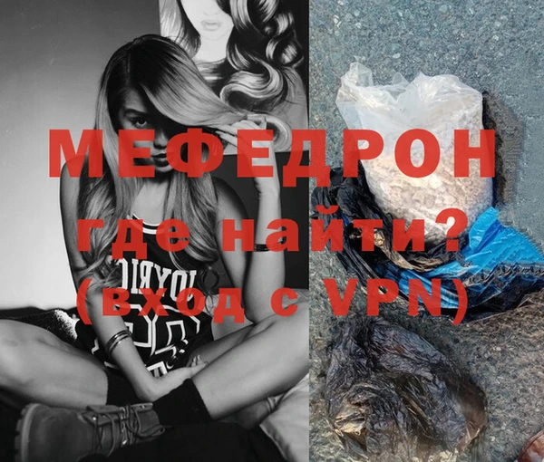 индика Дмитриев