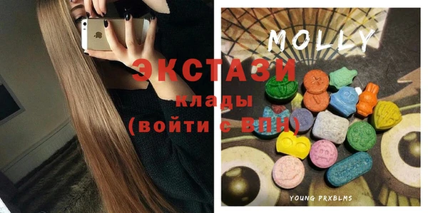 гашик Дмитров